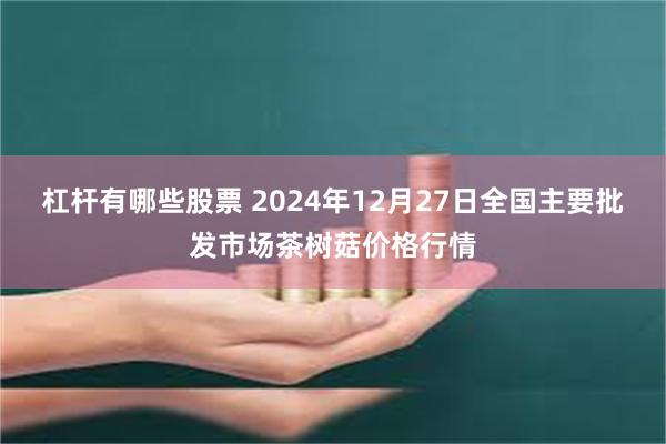 杠杆有哪些股票 2024年12月27日全国主要批发市场茶树菇价格行情