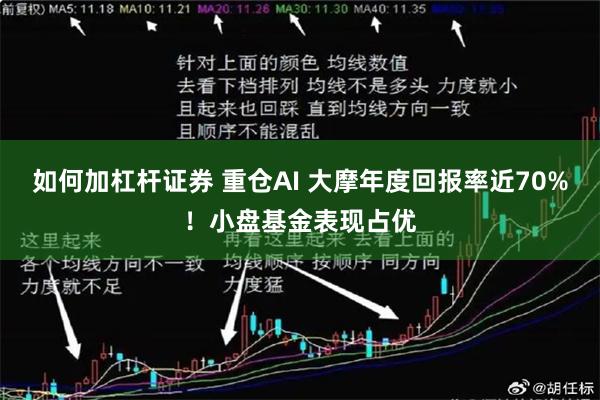 如何加杠杆证券 重仓AI 大摩年度回报率近70%！小盘基金表现占优