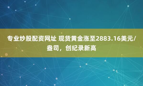 专业炒股配资网址 现货黄金涨至2883.16美元/盎司，创纪录新高