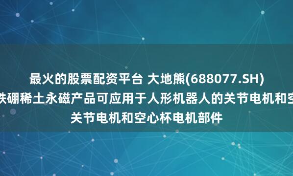 最火的股票配资平台 大地熊(688077.SH)高性能烧结钕铁硼稀土永磁产品可应用于人形机器人的关节电机和空心杯电机部件