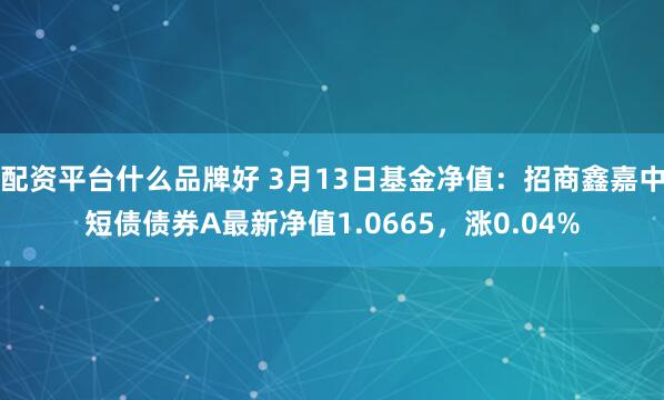 配资平台什么品牌好 3月13日基金净值：招商鑫嘉中短债债券A最新净值1.0665，涨0.04%