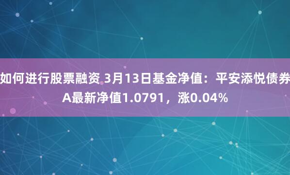 如何进行股票融资 3月13日基金净值：平安添悦债券A最新净值1.0791，涨0.04%